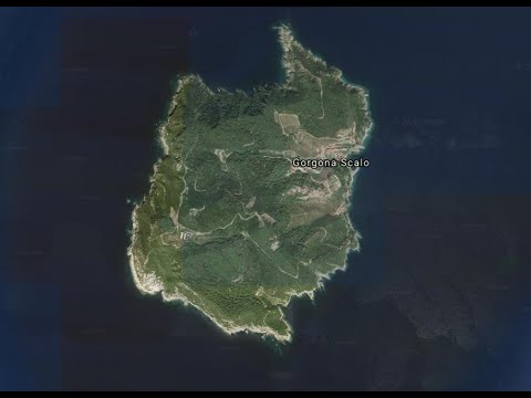 Pillole d&#039;Arcipelago - Volando su Gorgona